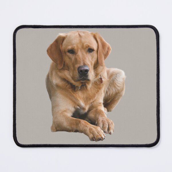 Item preview, Mighty Labrador designed and sold by RainbowSpinkle.