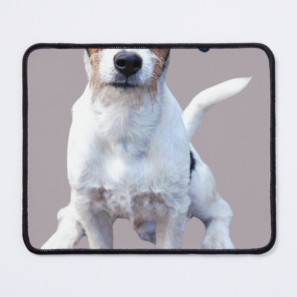 Item preview, Adorable Russell Terrier designed and sold by RainbowSpinkle.