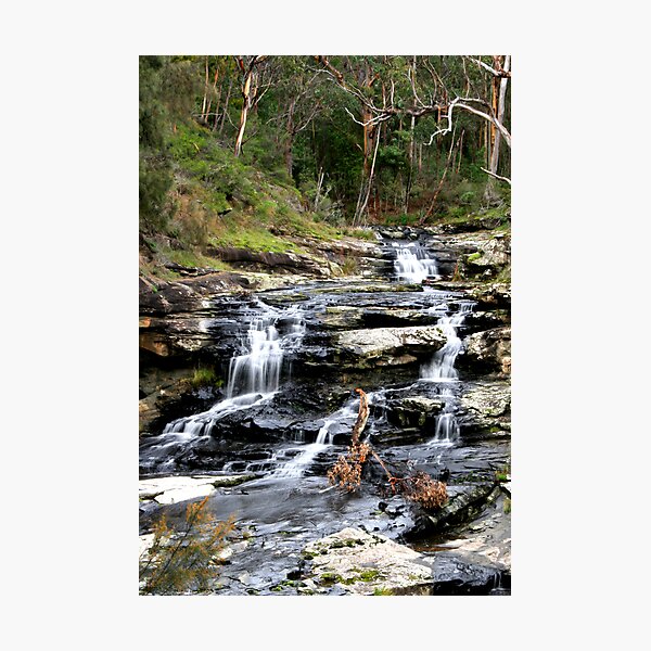 Item preview, Sheoak falls Victoria designed and sold by Michael  Bermingham.