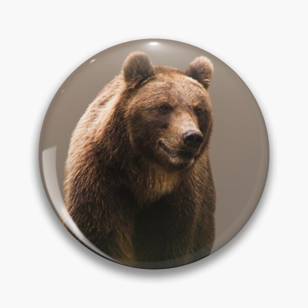 Brn BR #2 m * Brown Bear Pin Vintage Standing Brown Bear Enamel Lapel Pin Brn BR #2 m * Brown Bear Pin Vintage Standing Brown Bear Enamel Lapel Pin