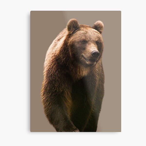 Aperçu de l'œuvre Gros ours créée et vendue par RainbowSpinkle.