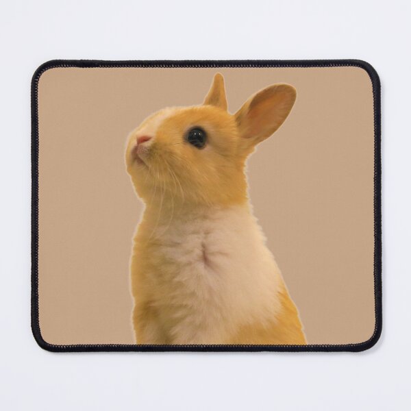 Item preview, Loveable Rabbit designed and sold by RainbowSpinkle.