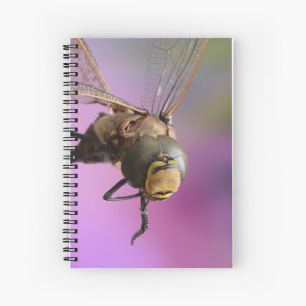 Dragz Spiral Notebook