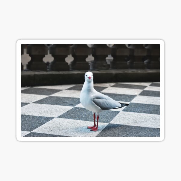 Seagull in the City Sticker