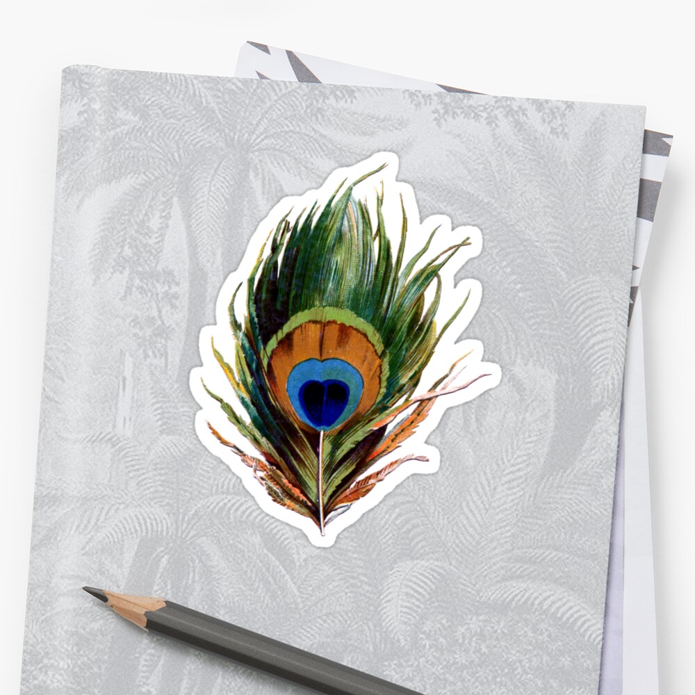 "Peacock Feather" Stickers By Pencreations | Redbubble