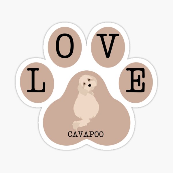 Cavapoo and LOVE sign on latte brown color paw Sticker
