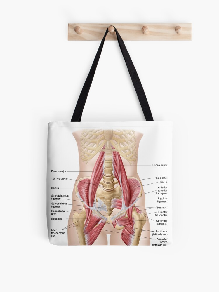 Anatomy of human pelvic bone. Tote Bag for Sale by StocktrekImages