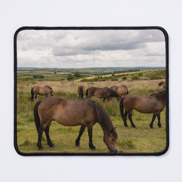 Item preview, Exmoor Ponies at Winsford Hill designed and sold by hawkie.