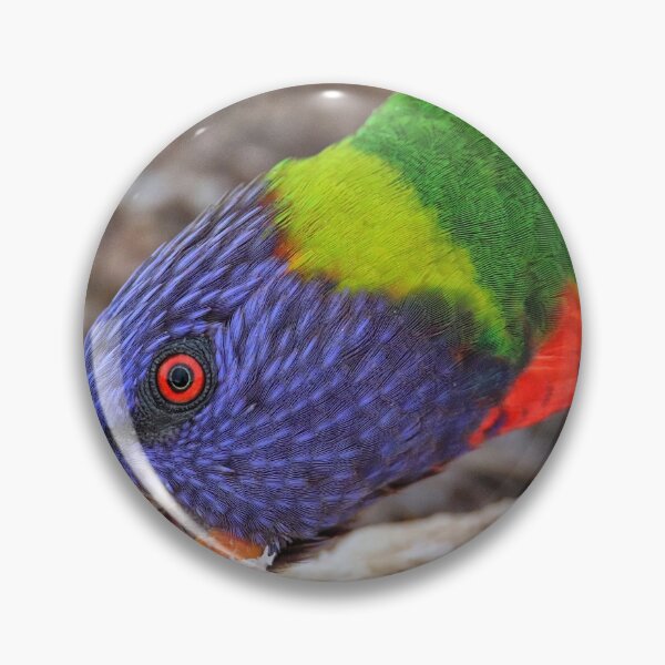 Item preview, Rainbow Lorikeet. designed and sold by Ian Ramsay.