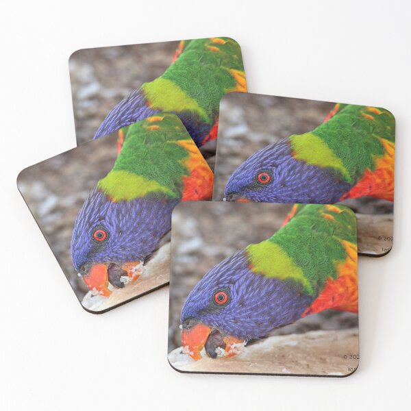Item preview, Rainbow Lorikeet. designed and sold by Ian Ramsay.