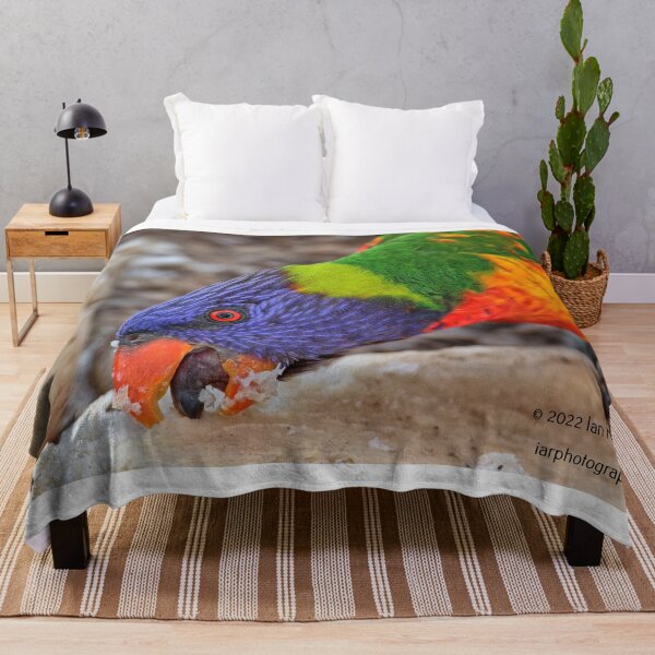 Item preview, Rainbow Lorikeet. designed and sold by Ian Ramsay.