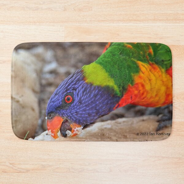 Item preview, Rainbow Lorikeet. designed and sold by Ian Ramsay.