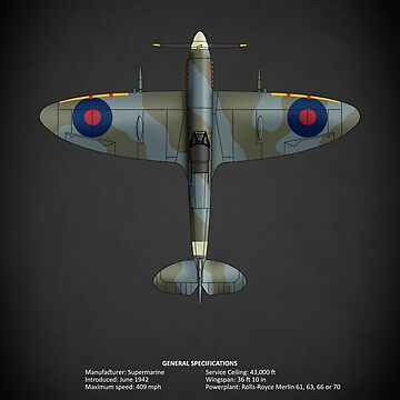 Artwork thumbnail, The Spitfire Mk IX by rogue-design
