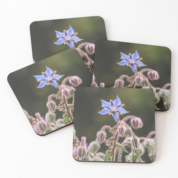 Item preview, Blue borage starflower blossom designed and sold by StohlerPhotos.
