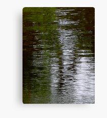TRANQUILLITY Canvas Print