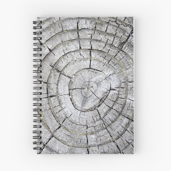 Item preview, Tree Ring designed and sold by Gymmer-Life.