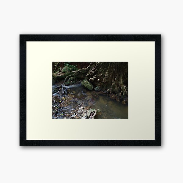 Item preview, Daintree Earth Magic designed and sold by Kathy Popplewell.
