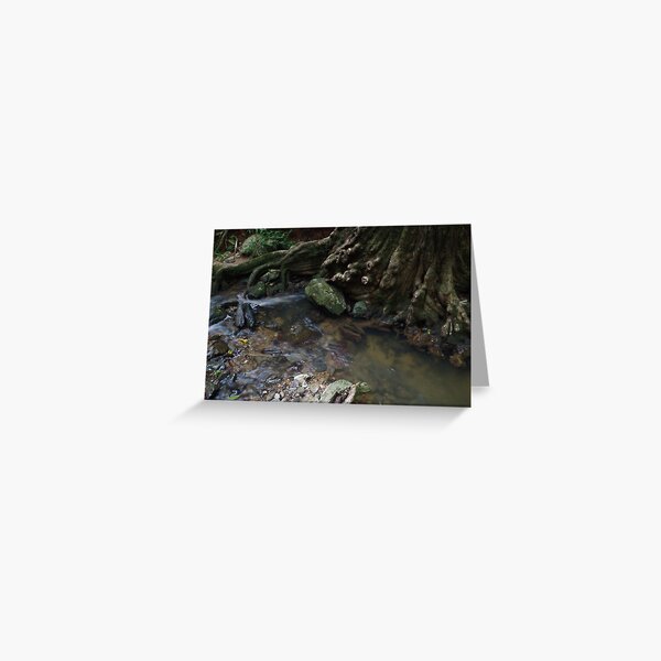 Item preview, Daintree Earth Magic designed and sold by Kathy Popplewell.
