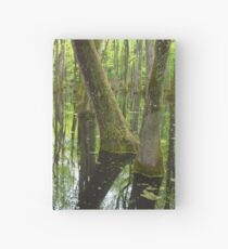 Cypress Swamp Hardcover Journal