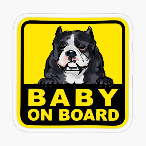 American bully Peeking dog decal Fur Baby On Board Car Sign Animal Car Decal Sticker for Sale by anoteiii Redbubble