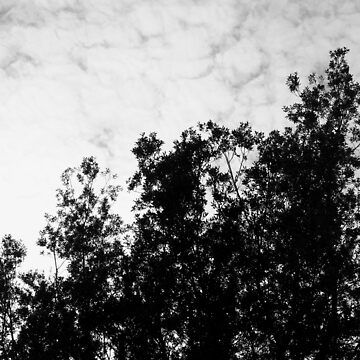 Artwork thumbnail, Trees and clouds by Saverio Filioli Uranio