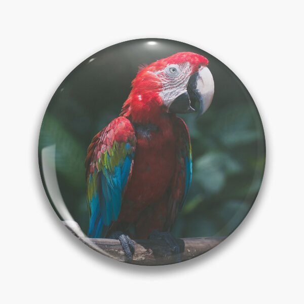 Item preview, Beautiful Red Parrot designed and sold by Steven Jodoin.