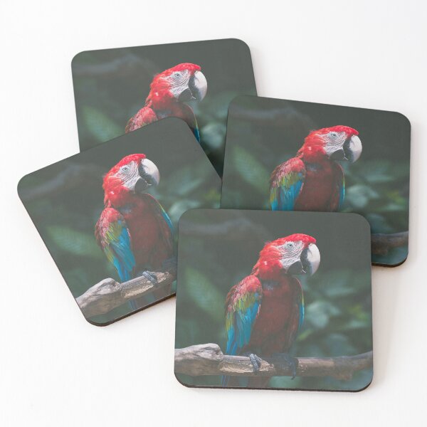 Item preview, Beautiful Red Parrot designed and sold by Steven Jodoin.