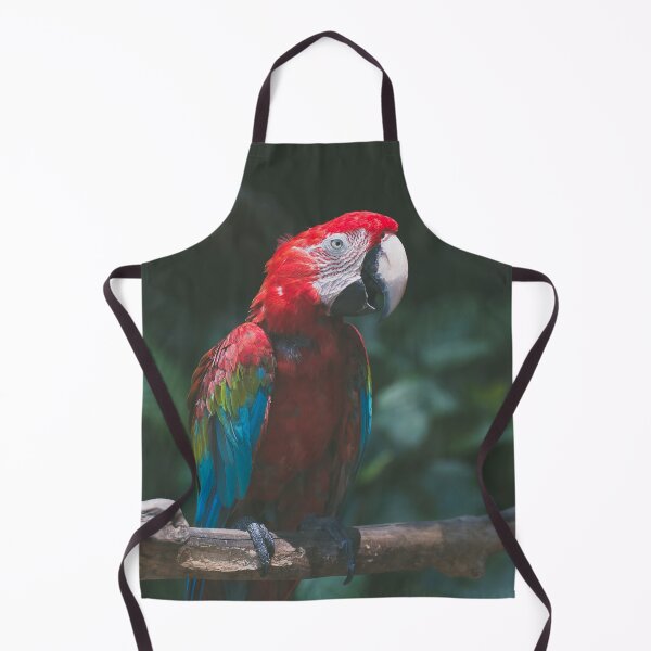 Item preview, Beautiful Red Parrot designed and sold by Steven Jodoin.