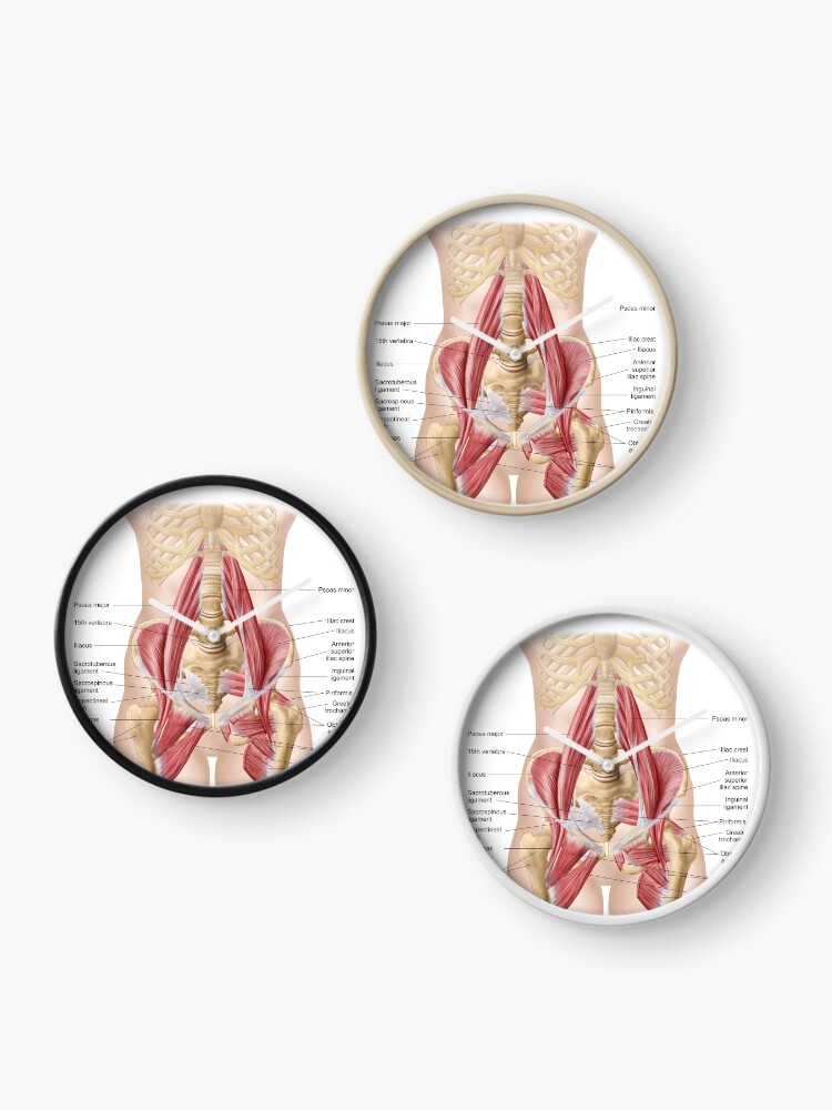 Psoas Zeichen und Obturatorzeichen