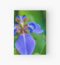 Dutch Iris Hardcover Journal
