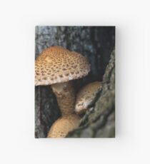 Toadstool in the rainy woods Hardcover Journal