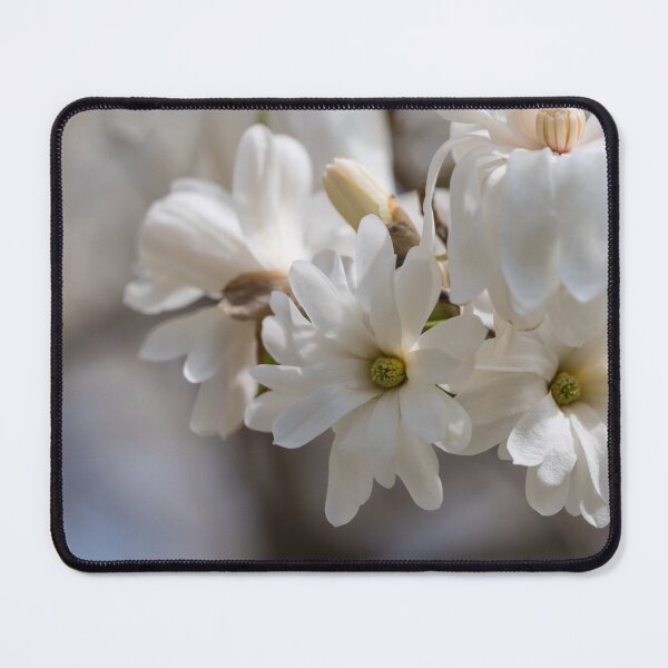 Item preview, Star Magnolia Grouping designed and sold by mljdwhite.