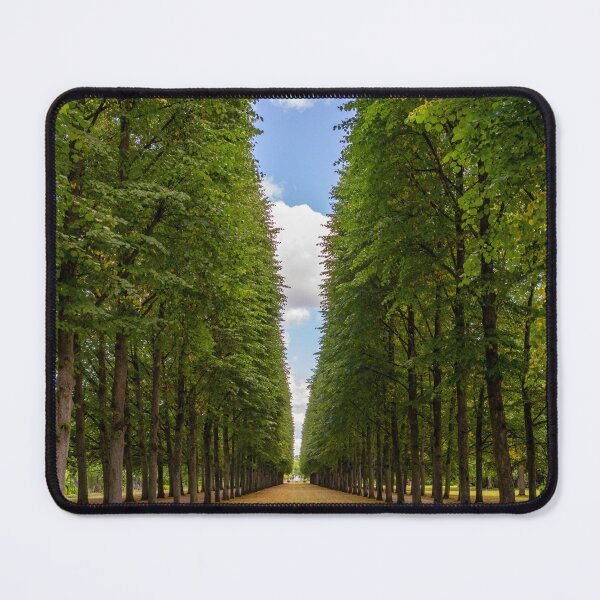 Item preview, A Walk In The Park designed and sold by DiFigianoPhoto.
