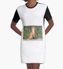Foxing Around Graphic T-Shirt Dress
