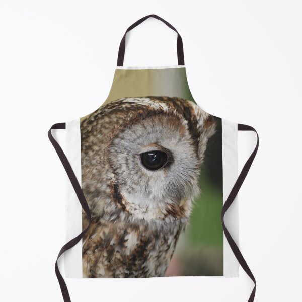 Item preview, Tawny Owl designed and sold by derbyshireduck.