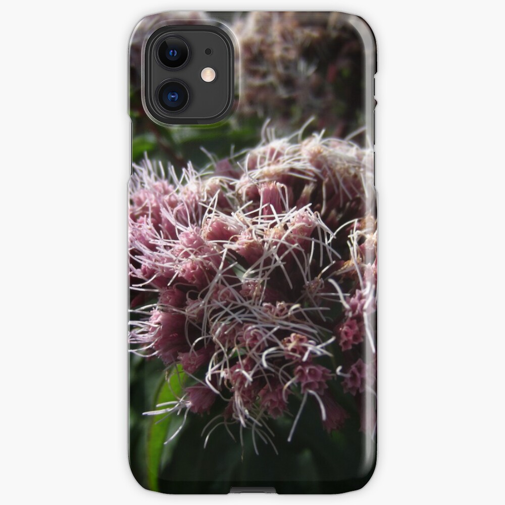 Hemp agrimony iPhone Case & Cover