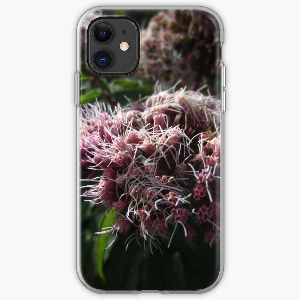 Hemp agrimony iPhone Case & Cover