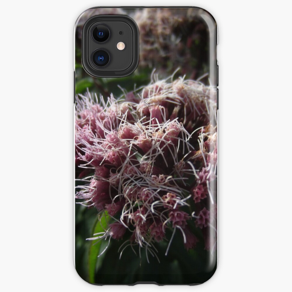 Hemp agrimony iPhone Case & Cover