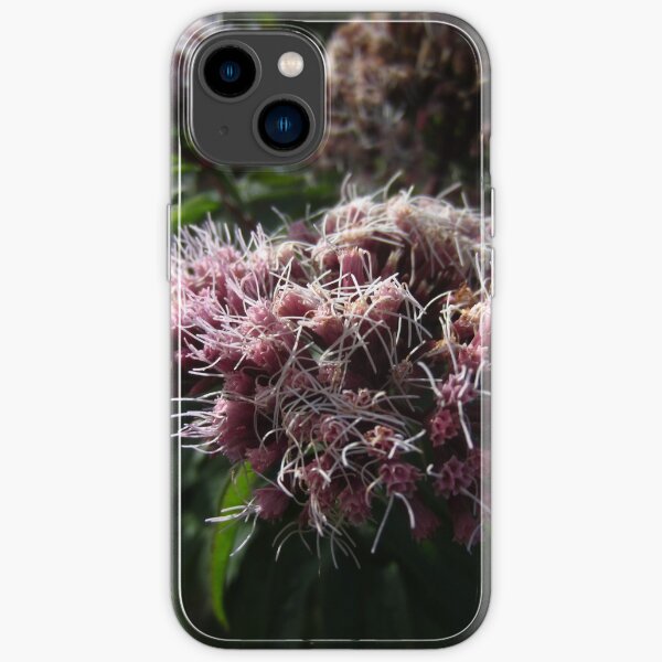 iPhone 14 - Soft