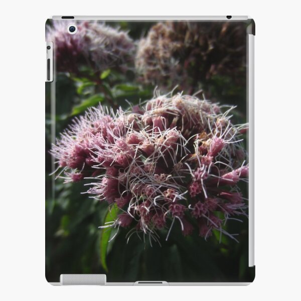 iPad Retina/3/2 - Snap