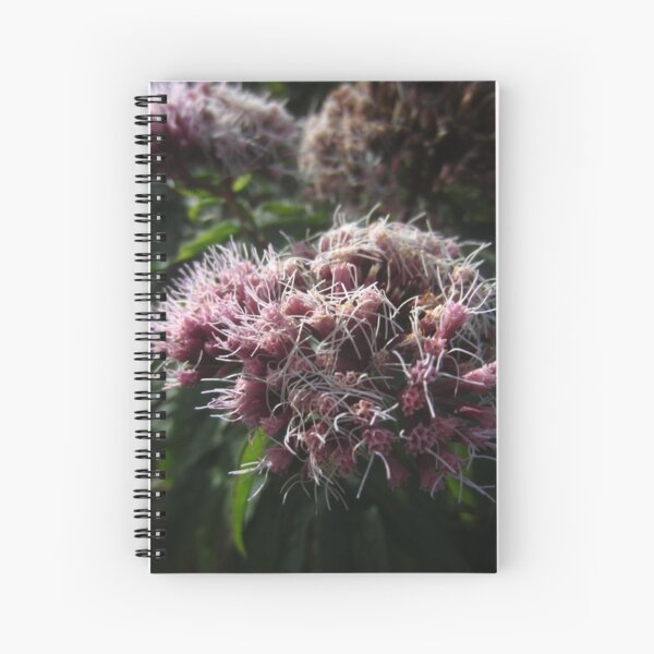 Spiral Notebook