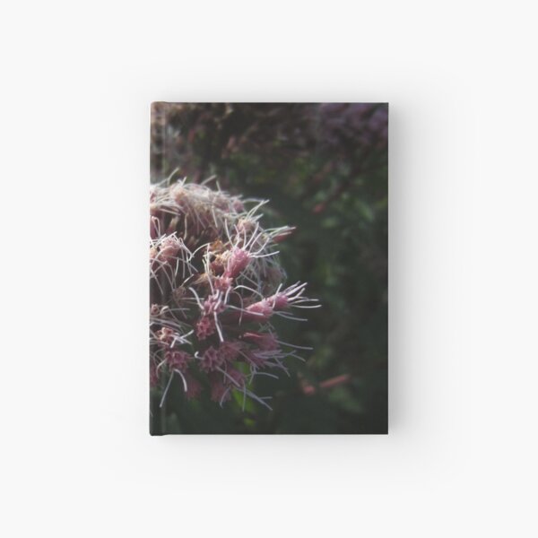 Hardcover Journal