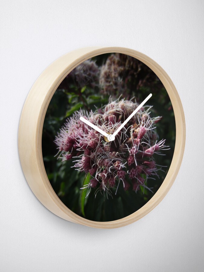 Alternate view of Hemp agrimony Clock