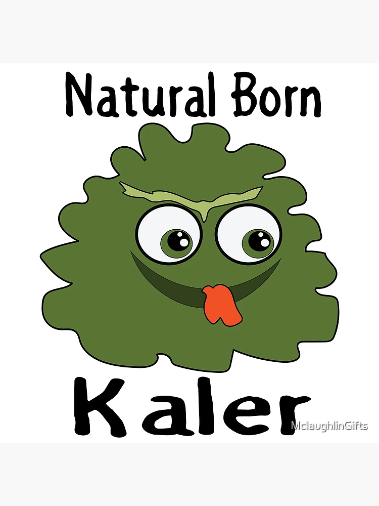 Kale Vegetable Veggie Funny Pun Humor - 6 Pack Circle Stickers 3