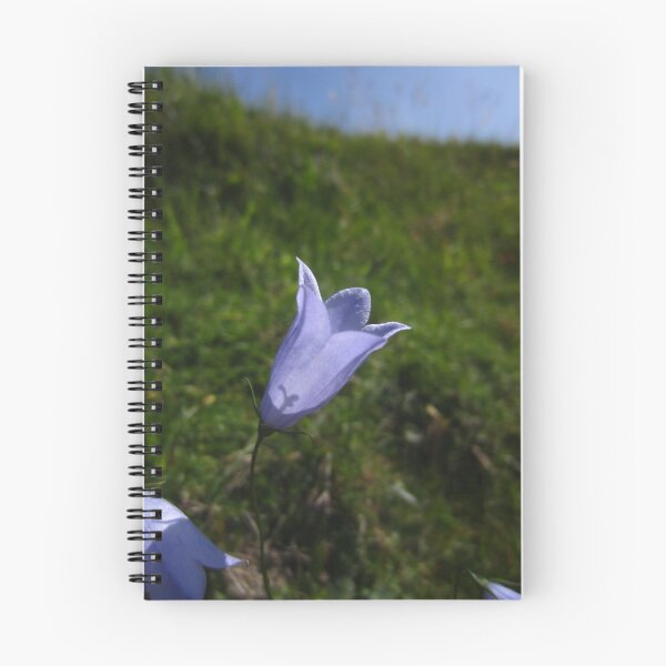 Item preview, Harebell designed and sold by IOMWildFlowers.