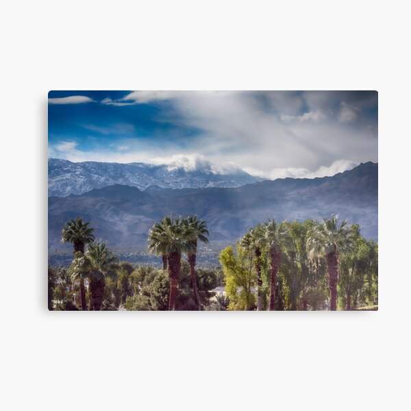 Palm Desert Metal Print