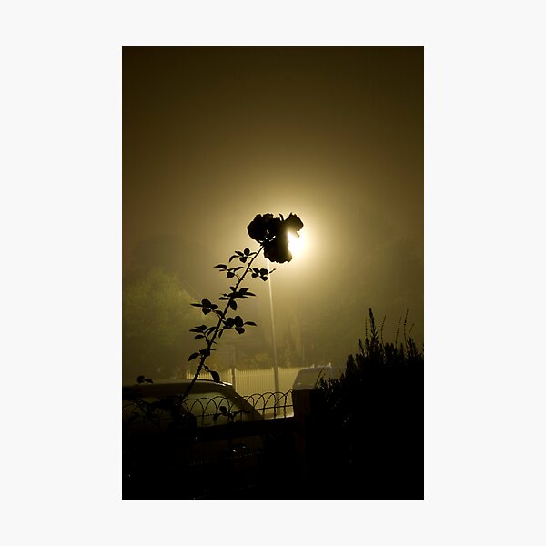 Item preview, Foggy Nights 01 designed and sold by Adam Lana.