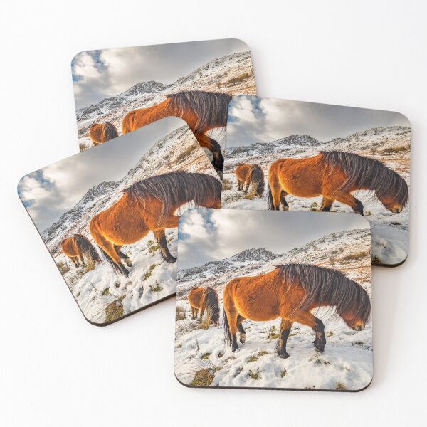 Item preview, Feral Horses Snowdonia designed and sold by AJEvans.
