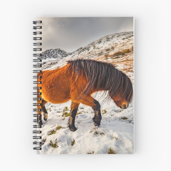 Item preview, Feral Horses Snowdonia designed and sold by AJEvans.