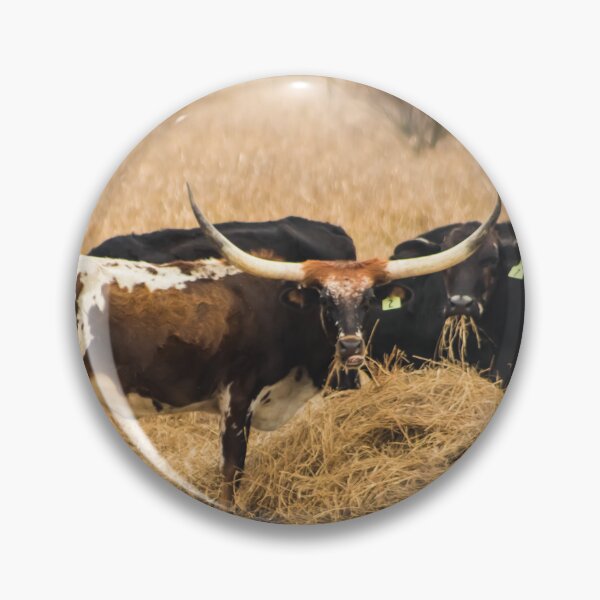 Item preview, Texas Longhorn  designed and sold by PurteePhotos.